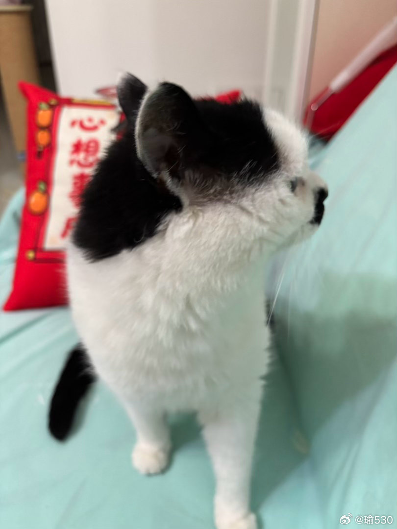 晚安💤 