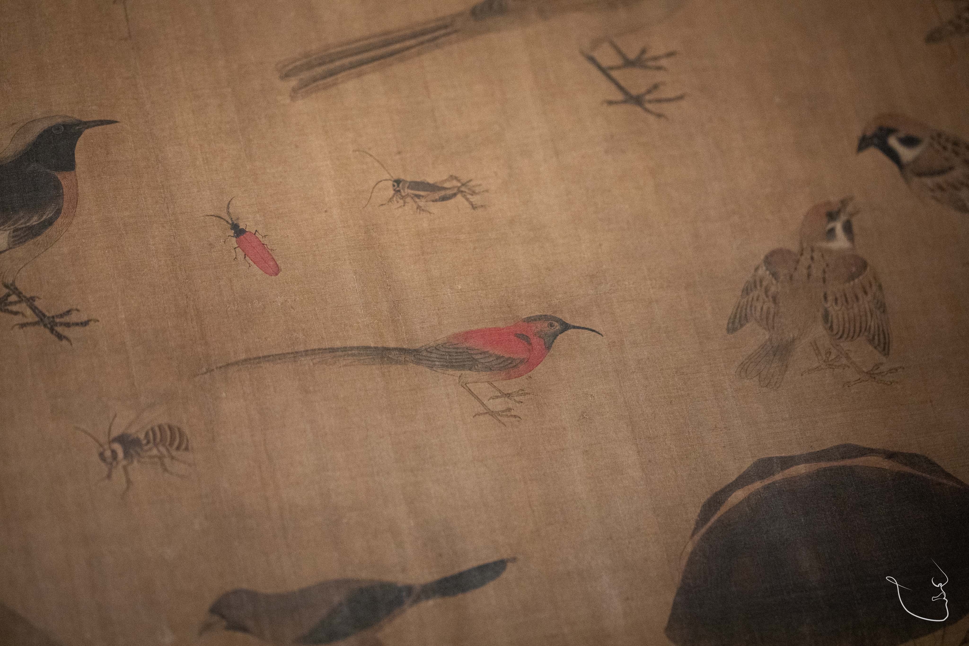 博物之旅 万物和生——故宫博物院藏动物题材绘画特展  ​​​