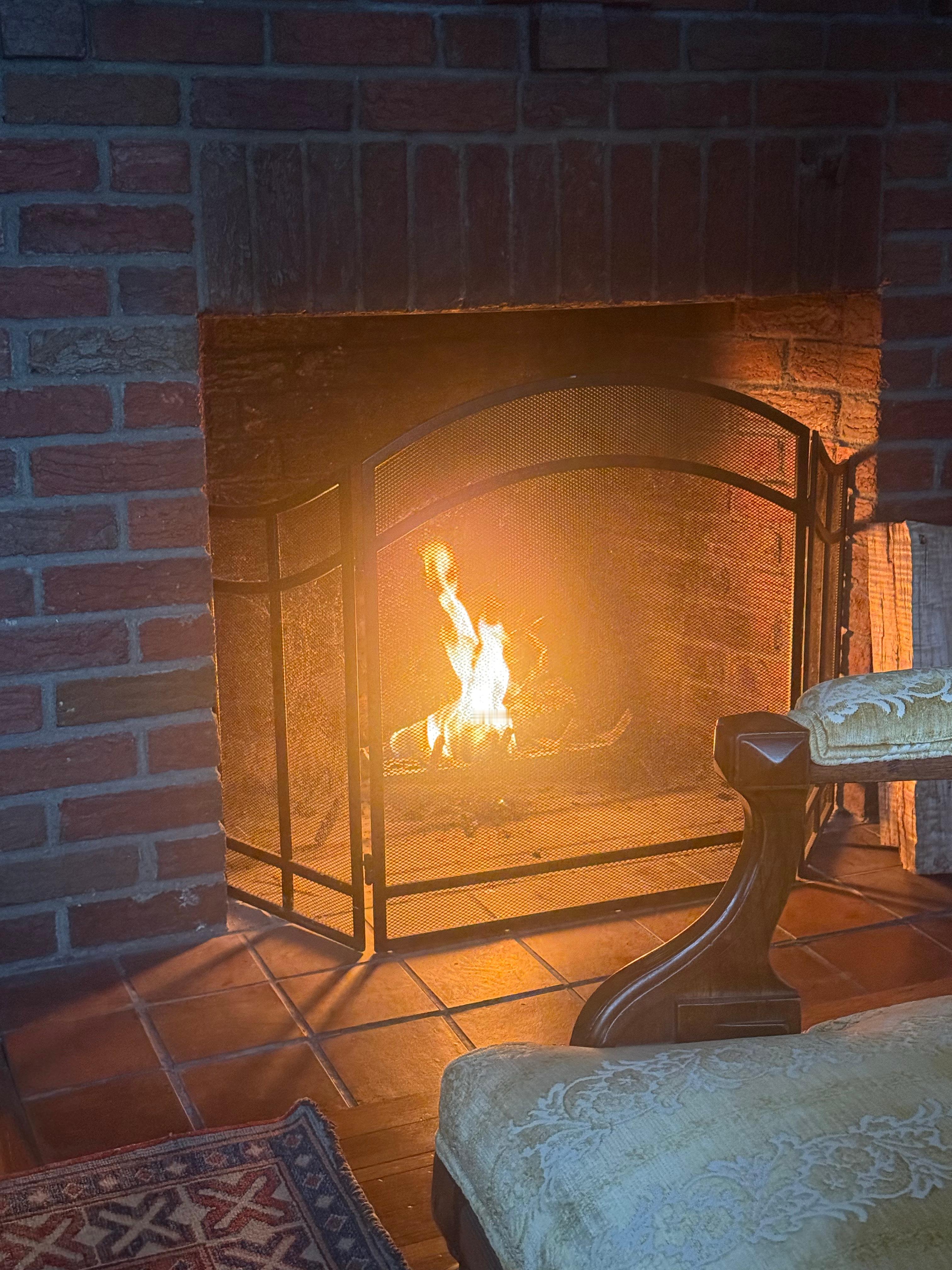 周日，早上起床第一件事就是把壁炉烧上。天色阴冷，下起了小雪。柴火的噼啪声中，一群