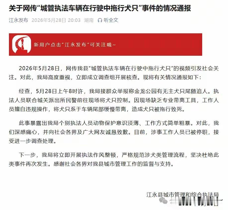 城管正常执法，把无主并有伤人倾向的犬只用皮卡车拖走，竟然被单位停职处理了？

5