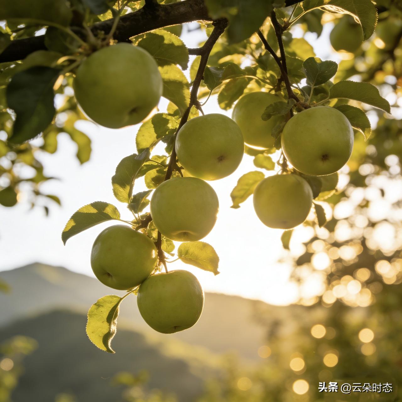 天天刷头条，你真会“聊”吗？

咱天天在头条上冲浪，看别人聊得热火朝天，自己也想