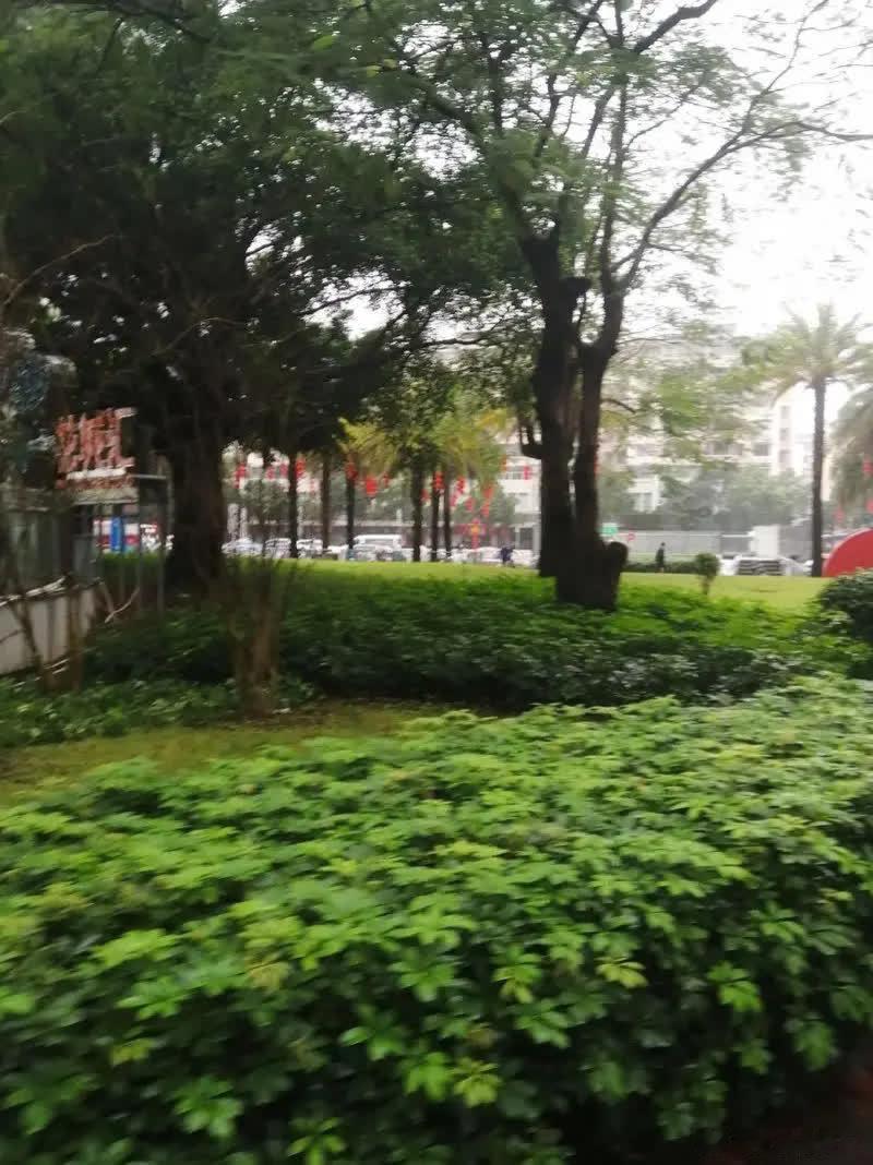 当年，毛阿敏把那英心仪的歌给唱了，那英直接炮轰恩师谷建芬说：这老太太叫我录音，我