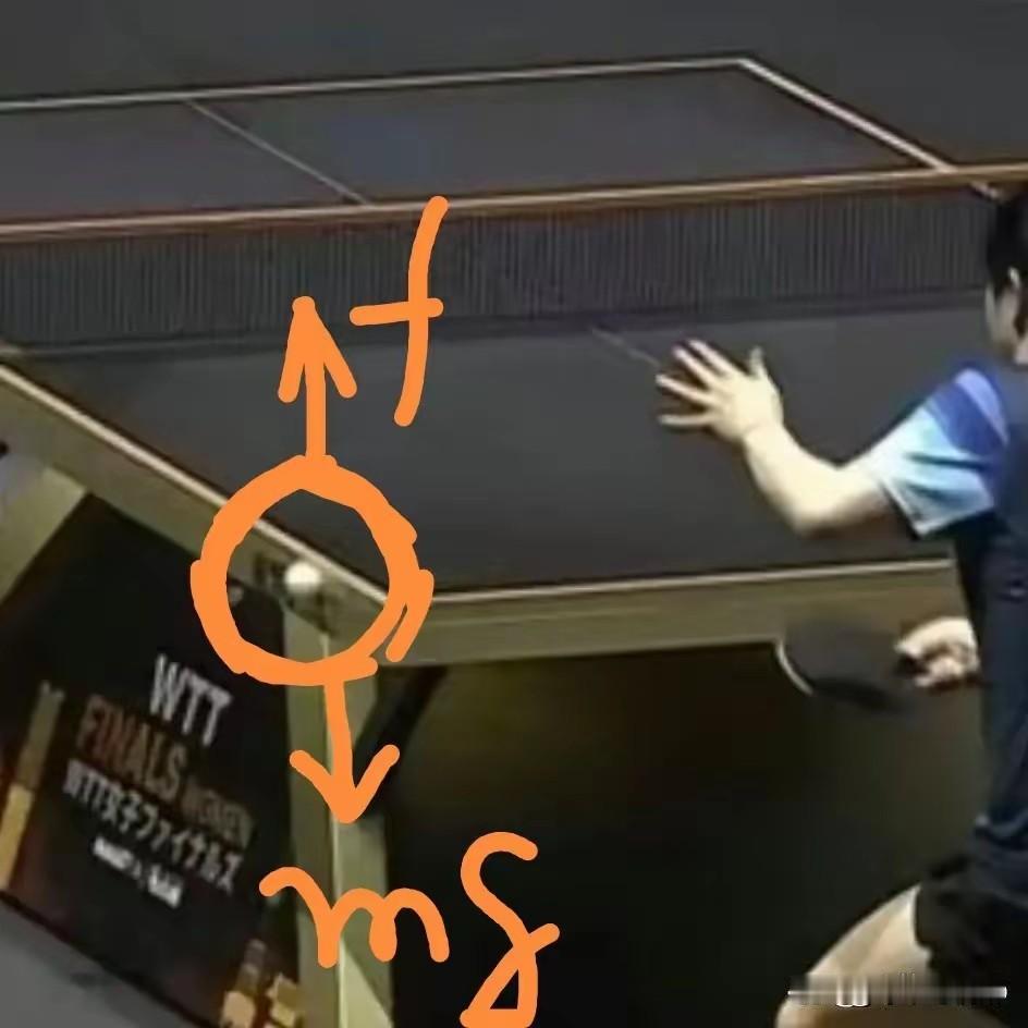 乒乓球亚洲杯中国军团完美收官，女单孙颖莎，王曼昱，蒯漫包金银铜三枚奖牌。占据绝对