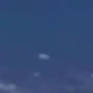 庭前光秃秃疏枝，斑驳着浅浅的光，有风冷冷的吹过，大写着冬的评语。几枝梅，蓬勃向上