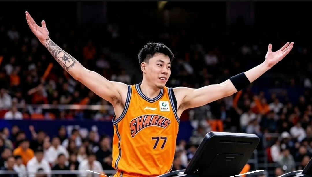 张镇麟对于CBA来说是个难解之谜，在辽篮后期，不是这毛病就是那毛病，看来不仅仅是
