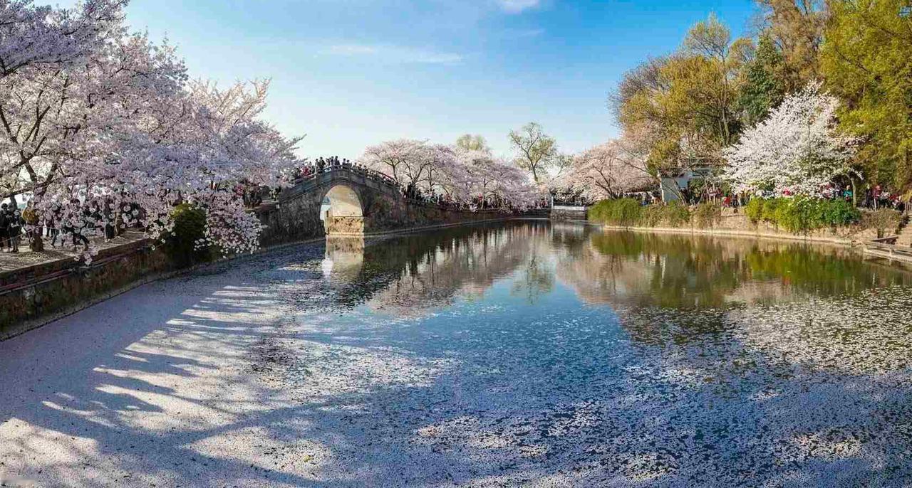 我的今日状态：😁轻松愉快
我这里的天气：☀️晴天