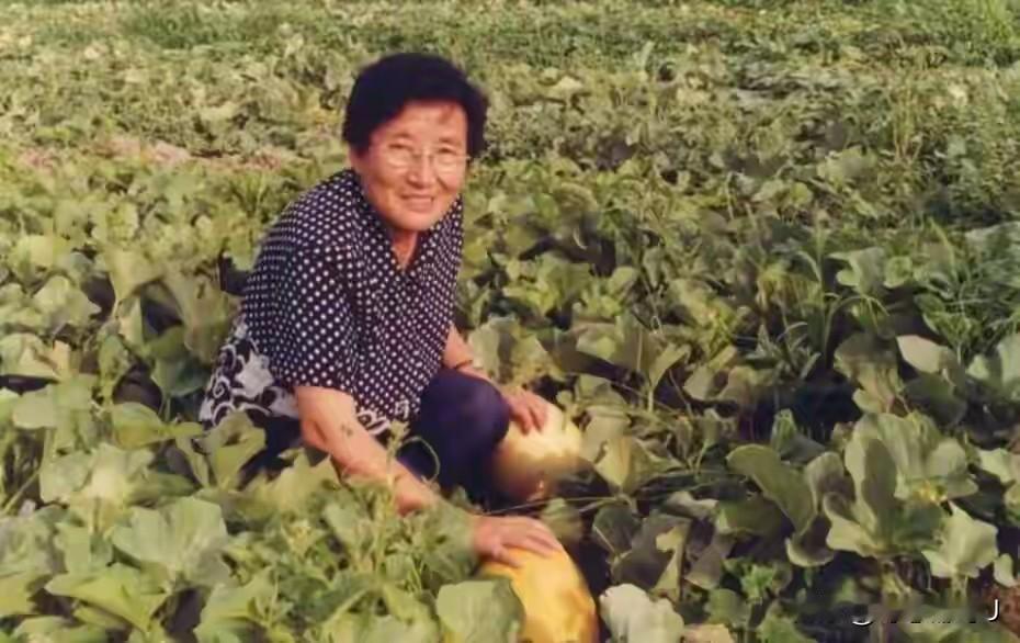 1955年，武汉有个女大学生叫吴明珠，当时她放着北京的好工作不要，揣着仅有的83