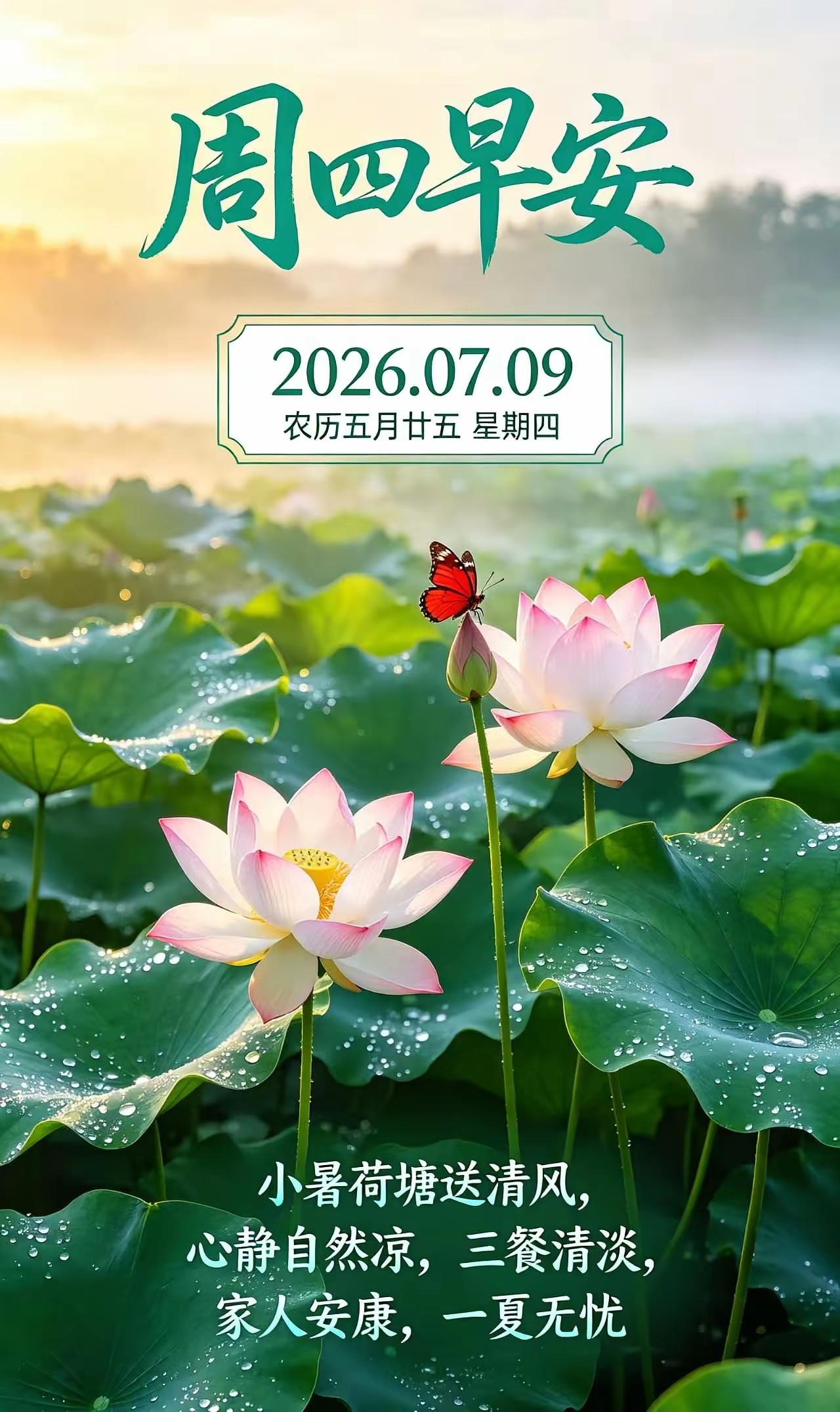 7.9日🌹🍎♥️早上好😁[福]🌹
一笑而过是昨天，开心快乐是今天，锦上添