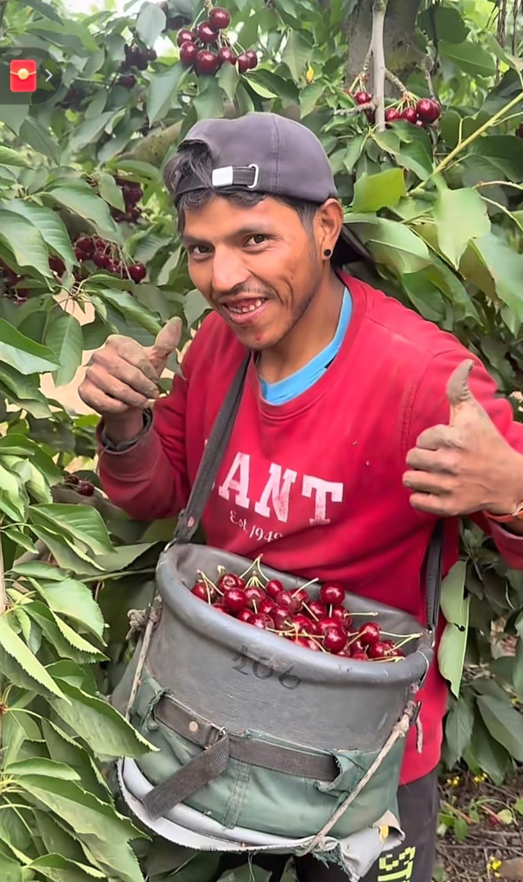 很想知道车厘子在智利当地有多便宜啊？
是不是就跟咱们的大白菜一样！