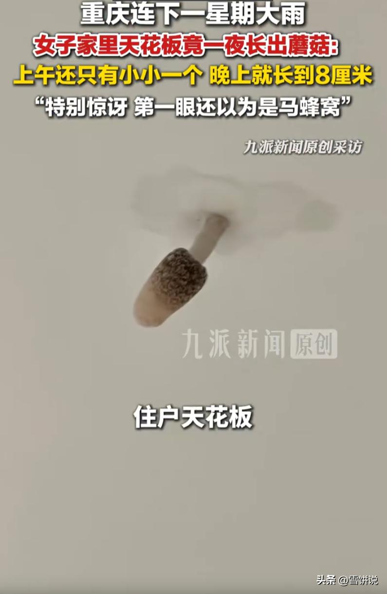 重庆，连下一周雨后，一位住顶楼洋房的丁女士，就遇上了一件又离谱又惊险的事，自家室