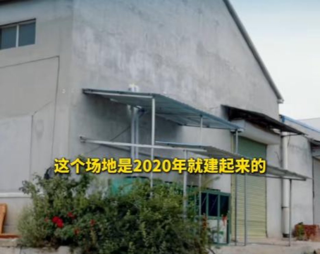 35岁跳高运动员张国伟自曝近况！一句“我肯定是天才”背后，是房租9万、电费20万