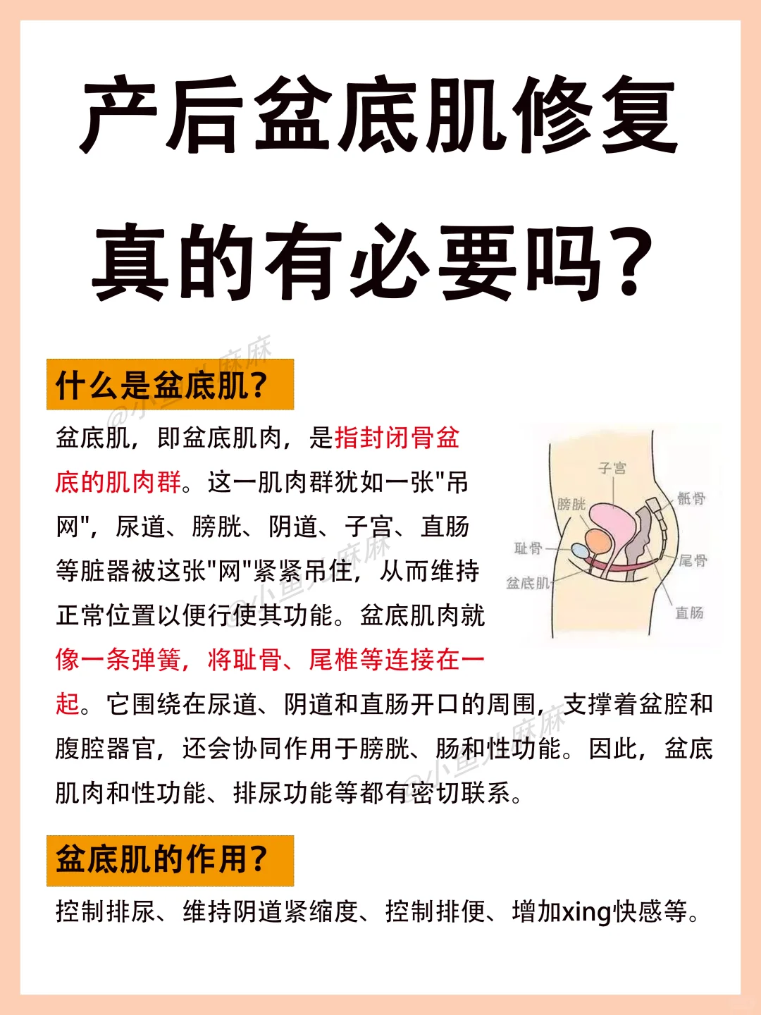 关于🔥盆底肌修复，真的有必要吗❓