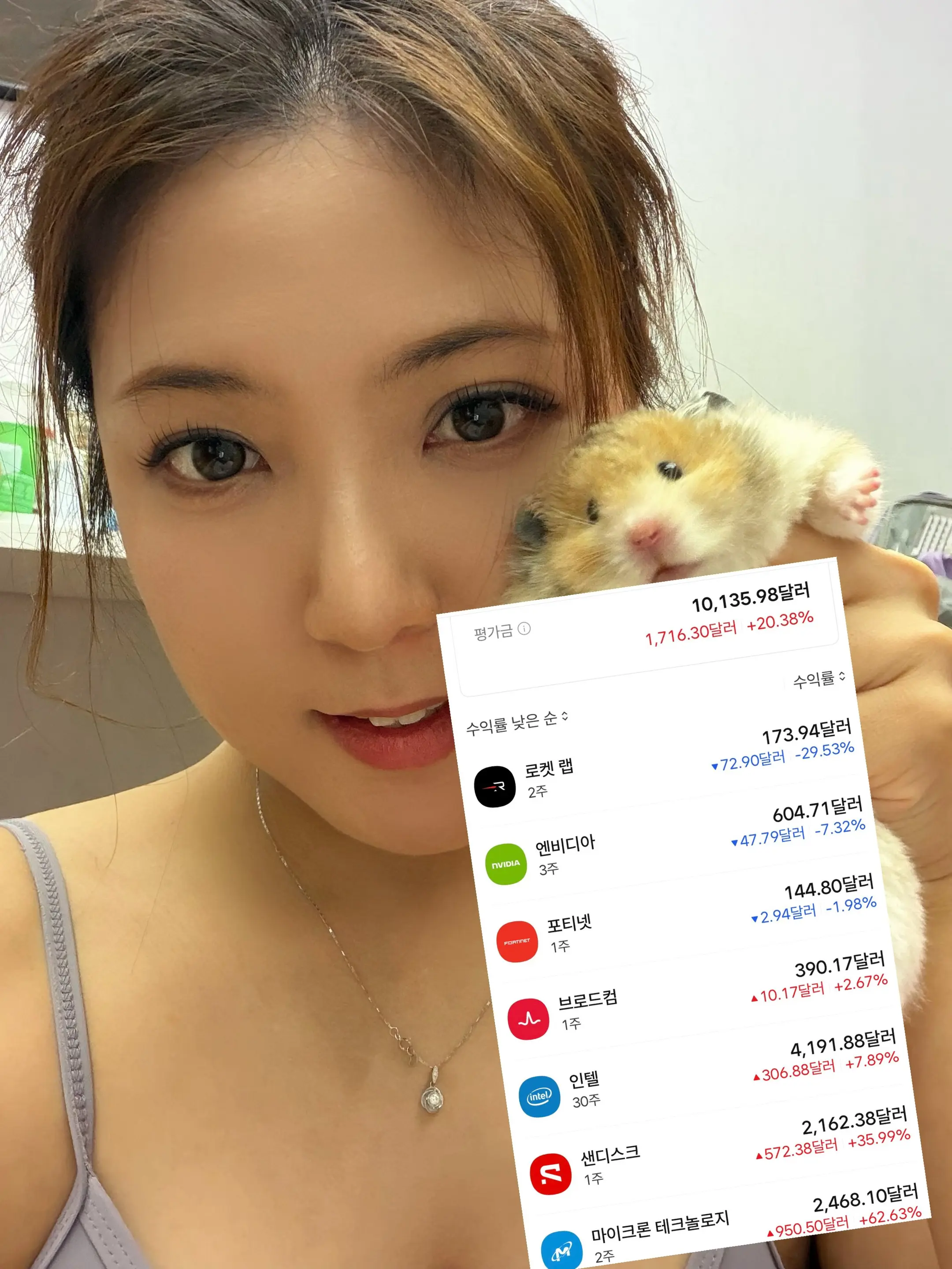 英特尔我儿子能涨到300我就毕业啦