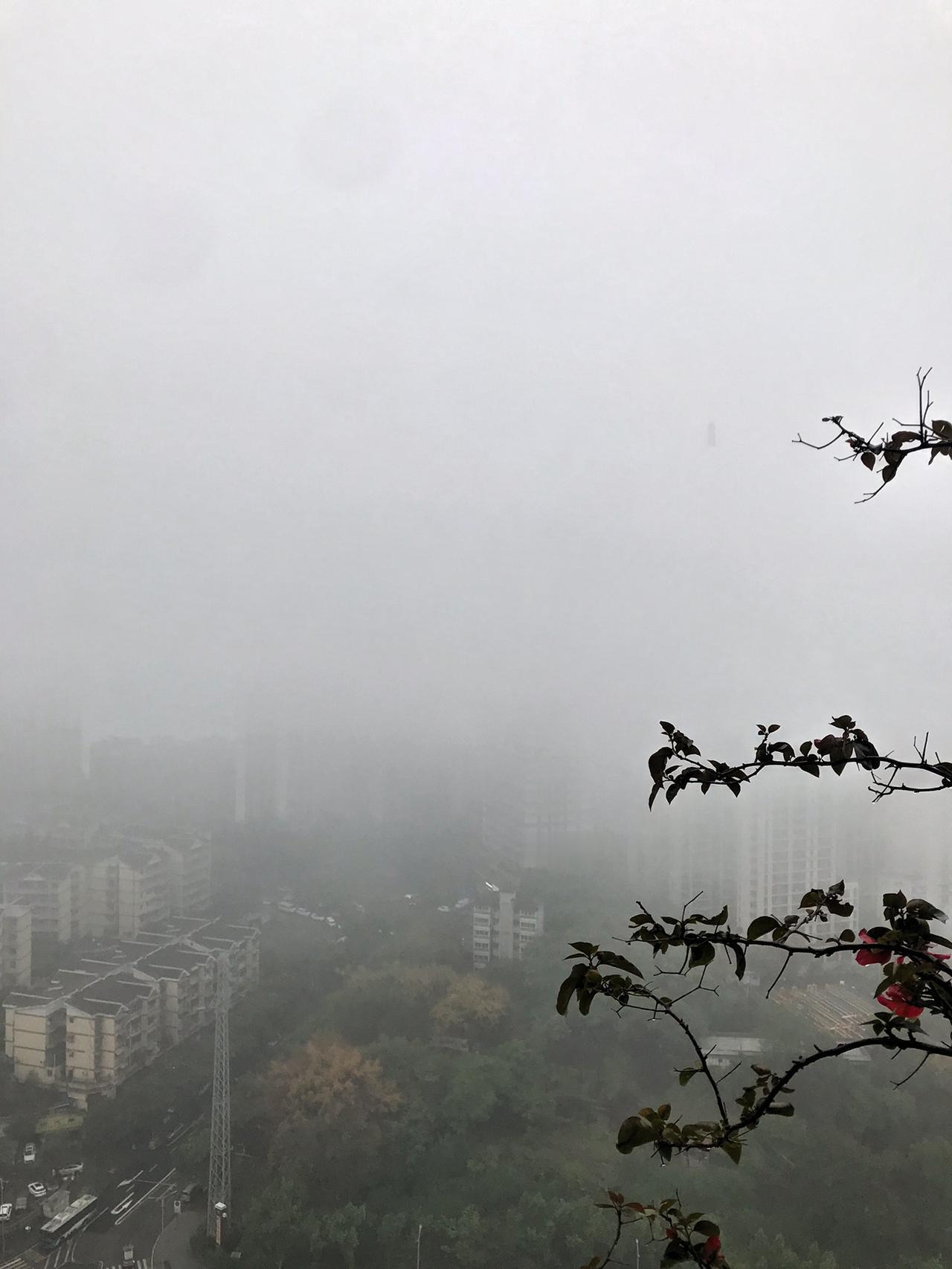 今天的重庆小雨淅淅，大雾弥漫，天空都隐没在朦胧里。随手一拍，那画面就带着一种独特