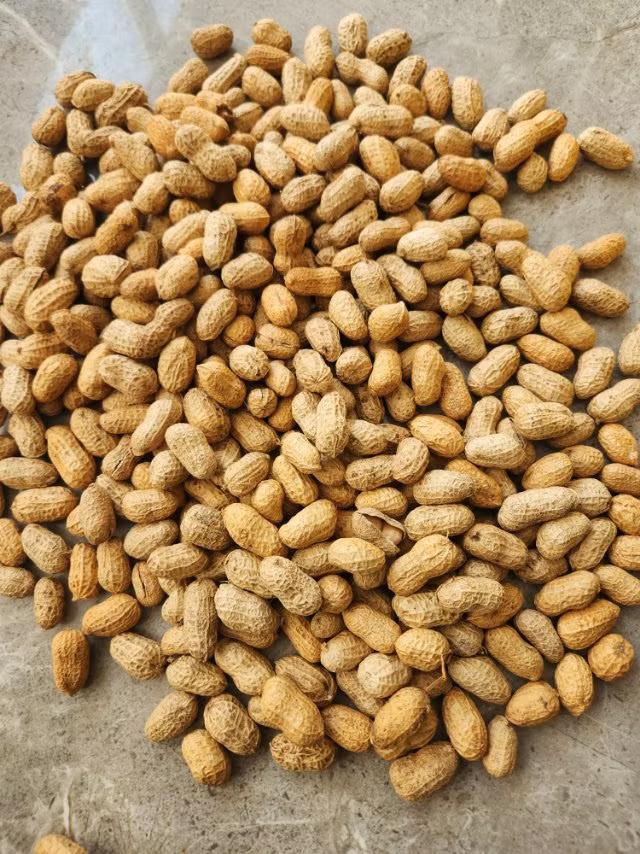 希望大家买年货时认真辨别真假与好坏
    这是我一周前买的花生，当时卖家说是生