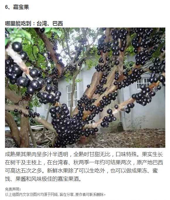 这些世界各地的奇异水果，你吃过几种？[并不简单]​​​我的宝藏食谱 ​​​