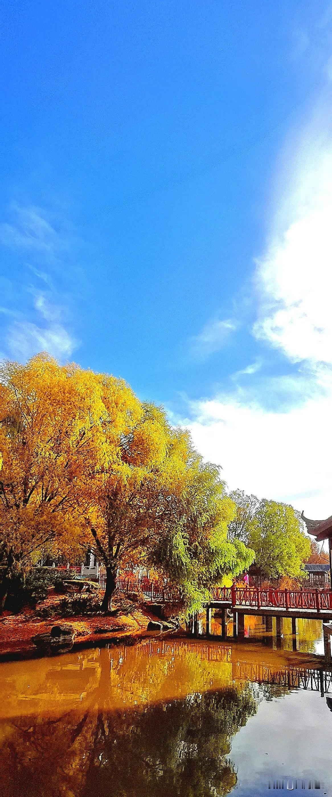 #相机记录美景#（原创）
镜头记录生活  平旺公园秋景