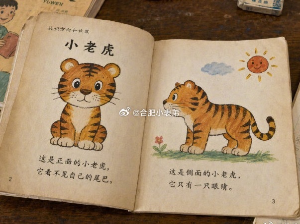 两只老虎的歌词终于解密了活了30多年，终于明白《两只老虎》歌词的意思了！ 合肥