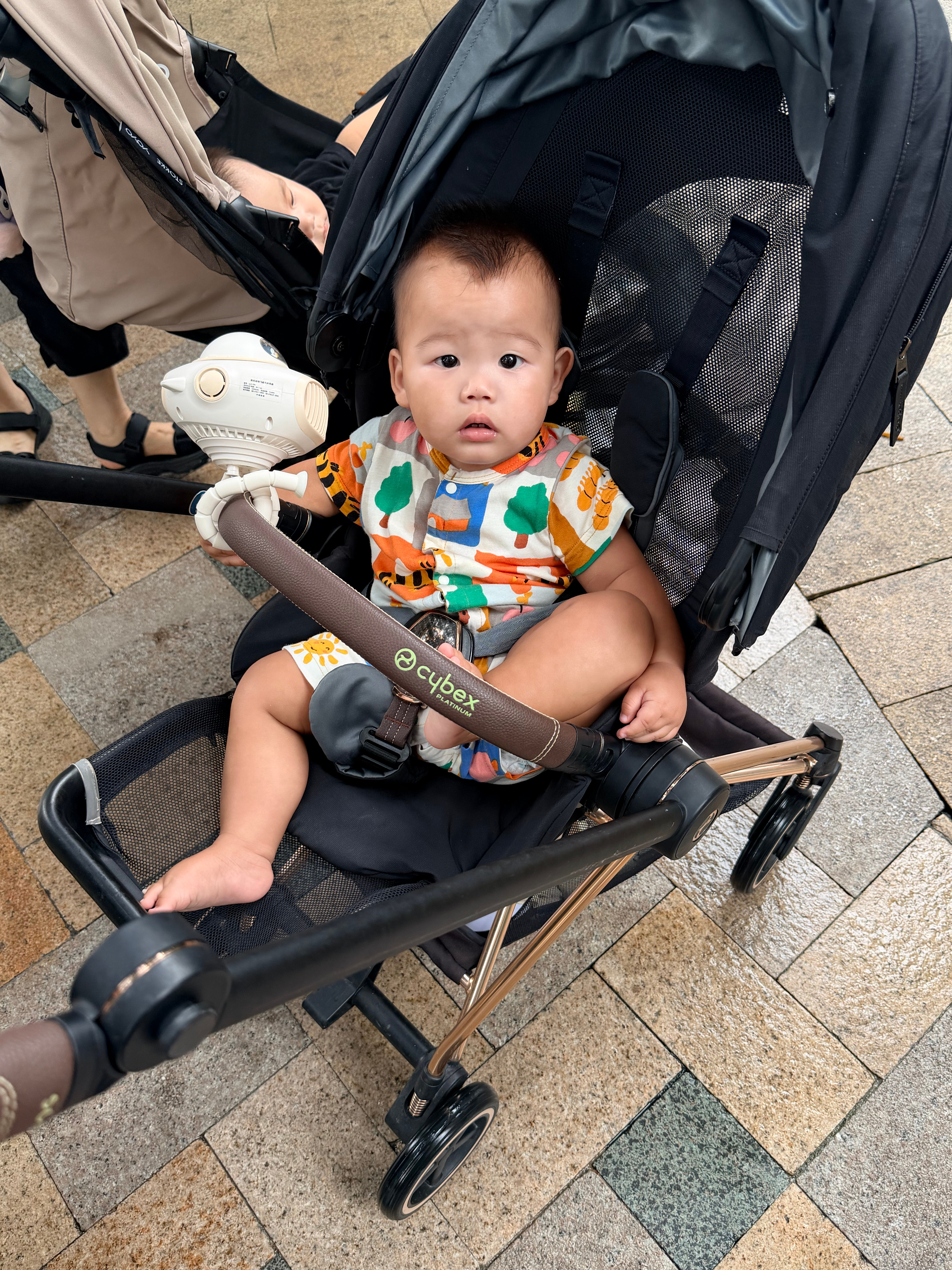 风仔在我们小区，被称呼“风哥”开始我以为是一起遛的娃比他小后面才知道是因为他的坐