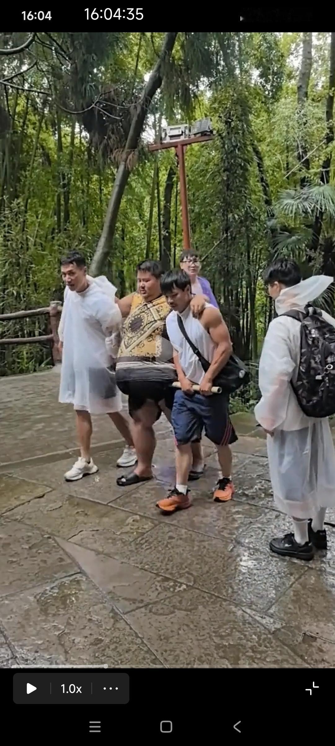 网红良子爬峨眉山，两个同伴用竹竿帮他撑起大肚子，这画面不是为了节目效果而是因为他