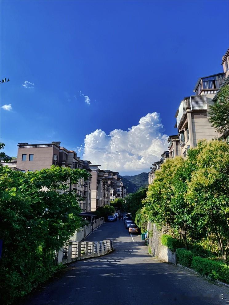 一年一度的避暑盛宴，老年人的幸福乐园

今天是七月七日，常年饱受夏天高温酷暑的重