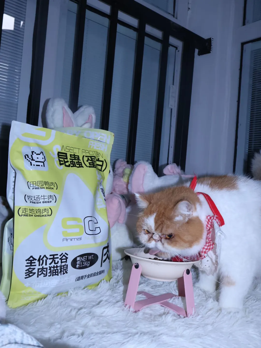 昆虫猫粮？SC你真的太超前了❗