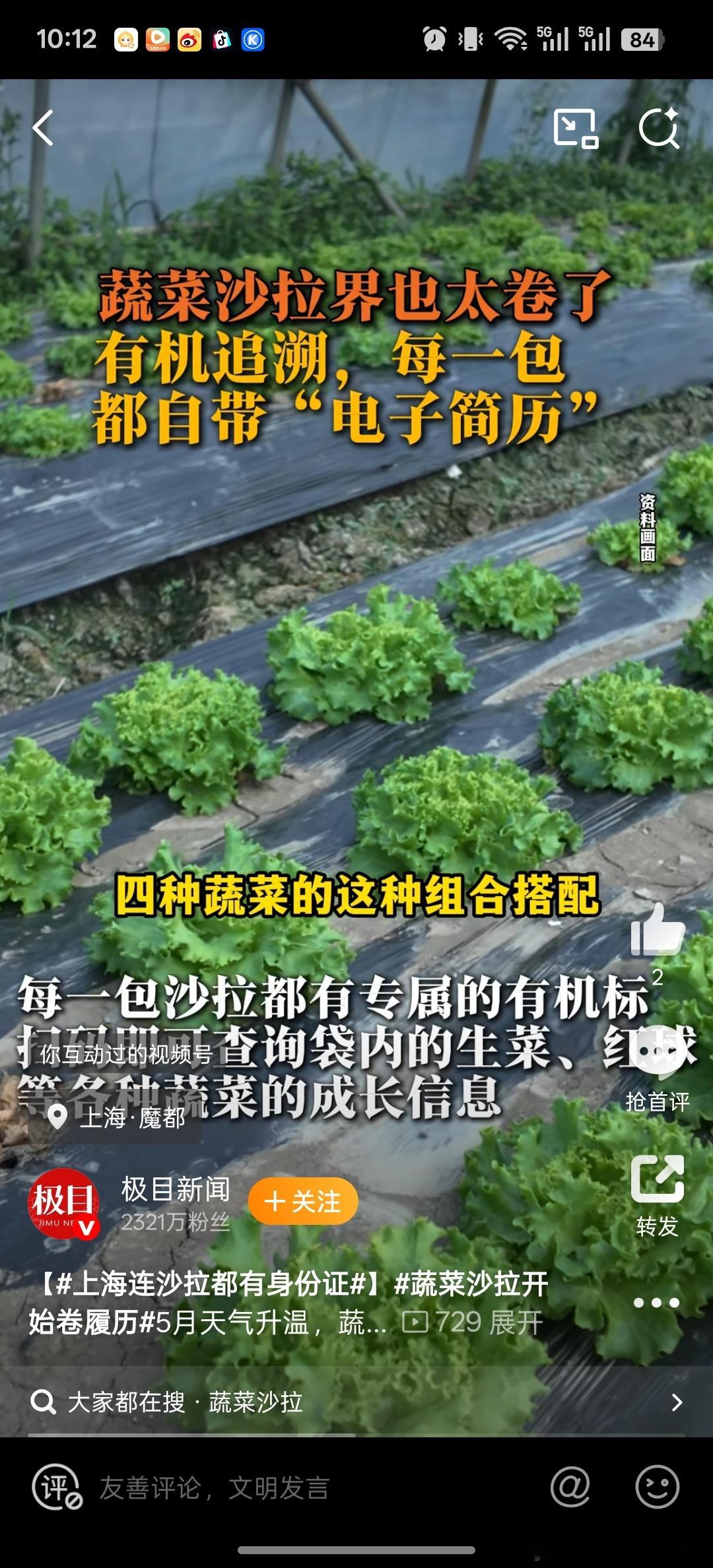 上海连沙拉都有身份证蔬菜沙拉开始卷履历 现在吃沙拉都像看简历？每片菜叶的“出身”