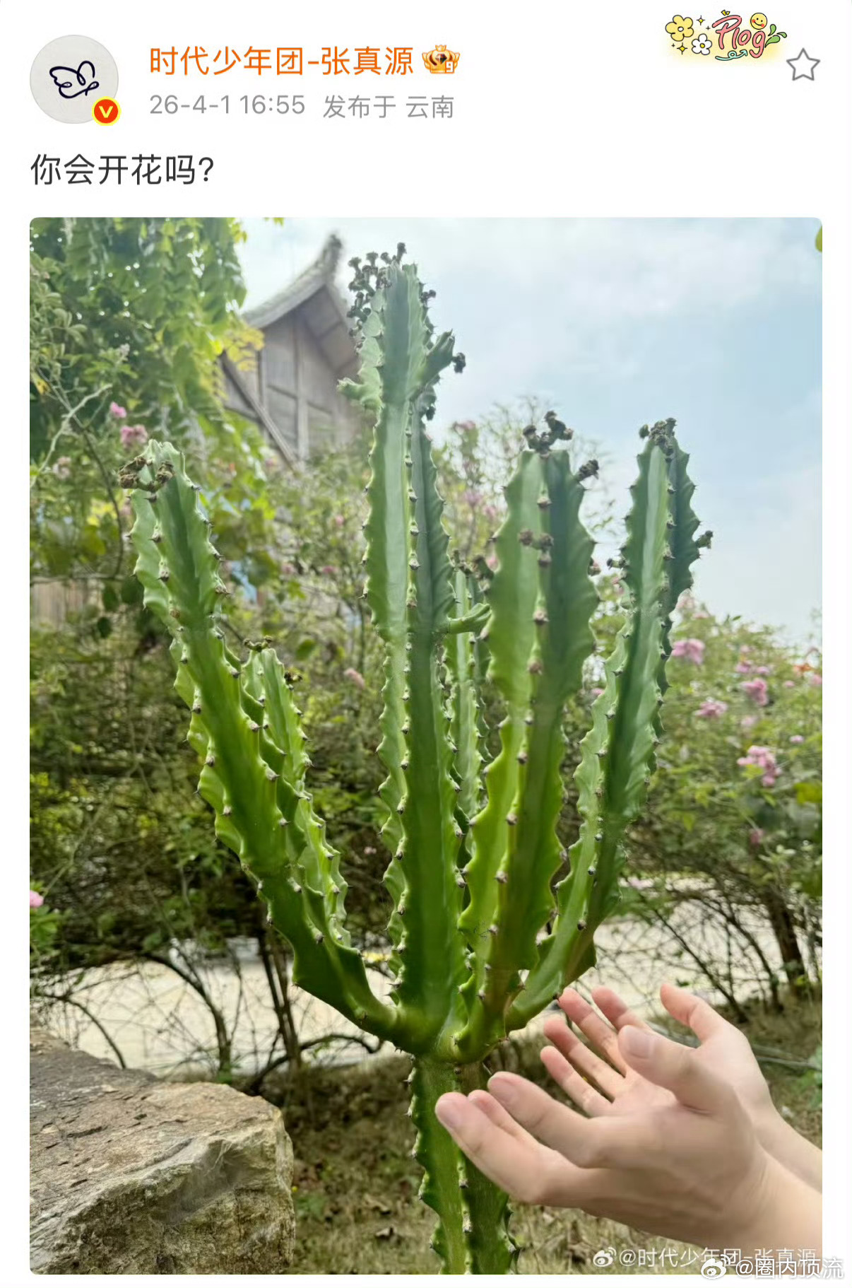 时代少年团愚人节互发时代少年团愚人节团建互发对方，这都是谁和谁？你能猜出来吗？ 