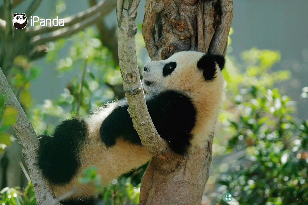 阳光信用  阳光信用 互动打卡 即使再严酷的寒冬，冬必为春。这是宇宙的法则、生命