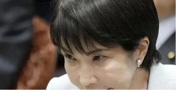 日本不怕中国有导弹，也不怕中国的核武器 ，甚至不怕中国的稀土制裁，他们害怕就是派