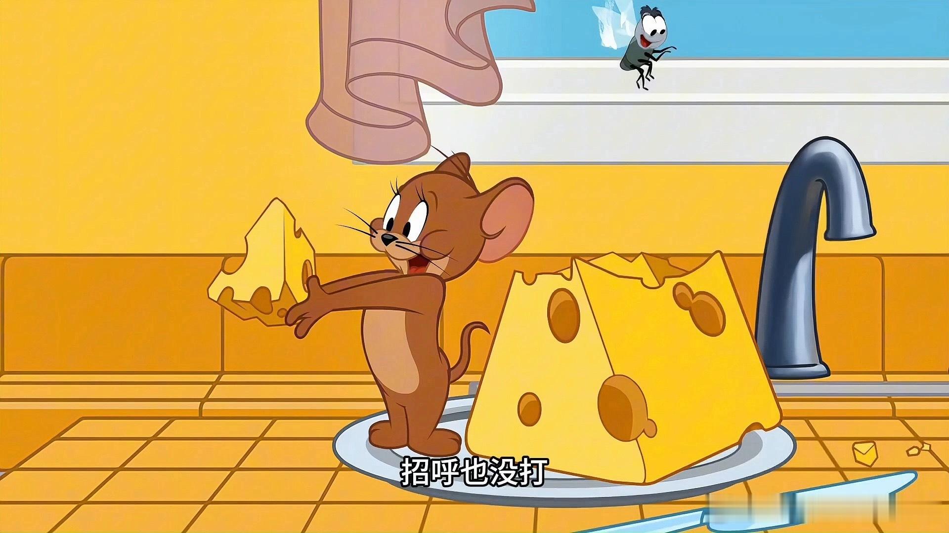 这些都是奶酪。买进口的原制奶酪。除了一些特殊小众口味，都很便宜。奶酪不是什么高端