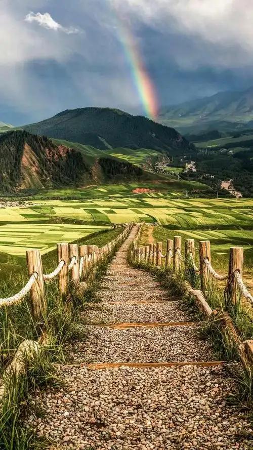 人到中年，
最大的心酸就是
明明满身疲惫，
却不敢倒下，不敢诉苦。
年少时无牵无