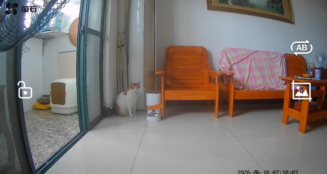 留守猫
大橘自己三年前从上海到了南宁，从来没有这么长时间看不见主人，不知道它是否