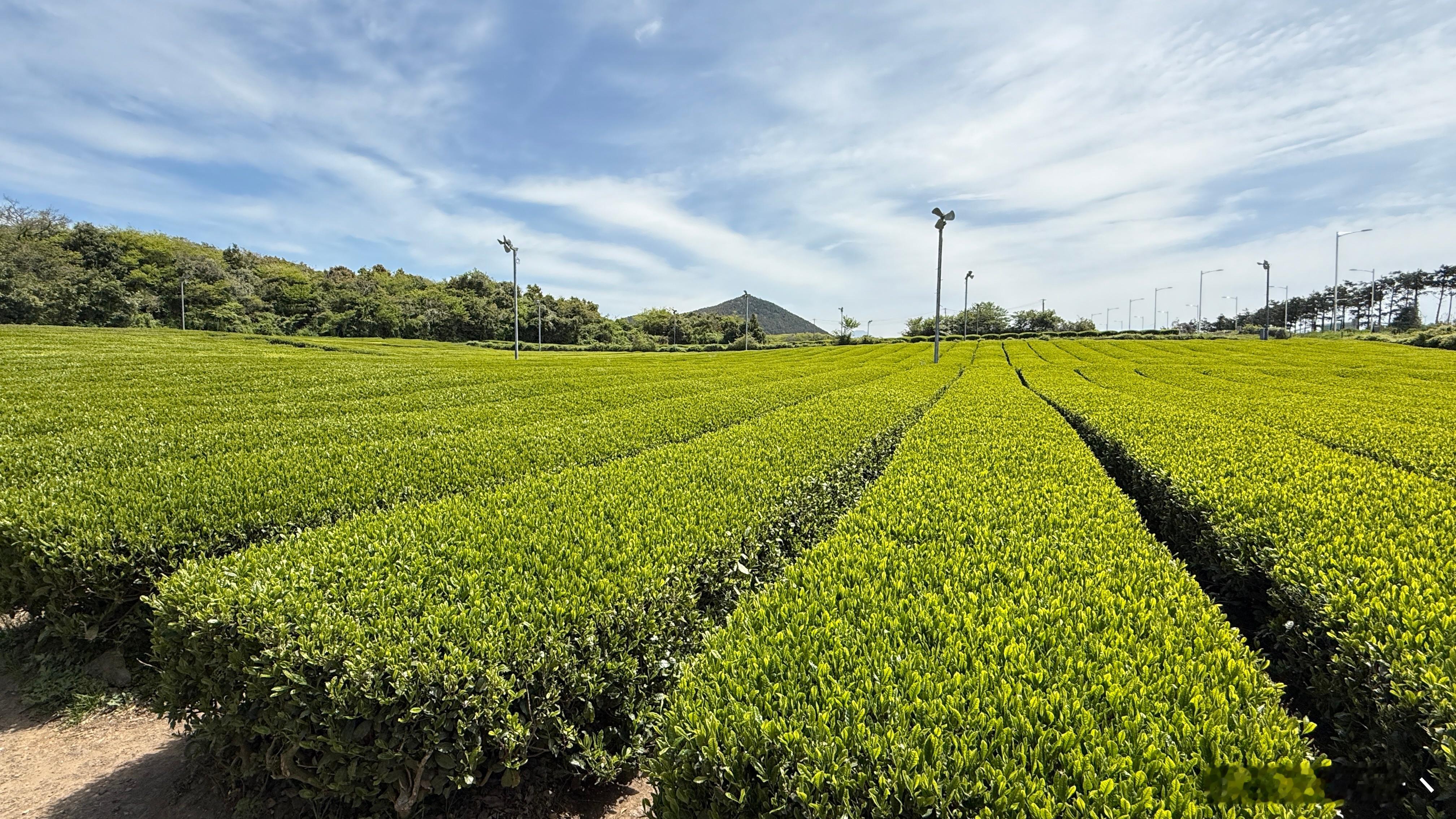 愿我们带着热爱赶路，也能在途中看见风景。时光缓缓向前，答案藏在日复一日的坚持里，