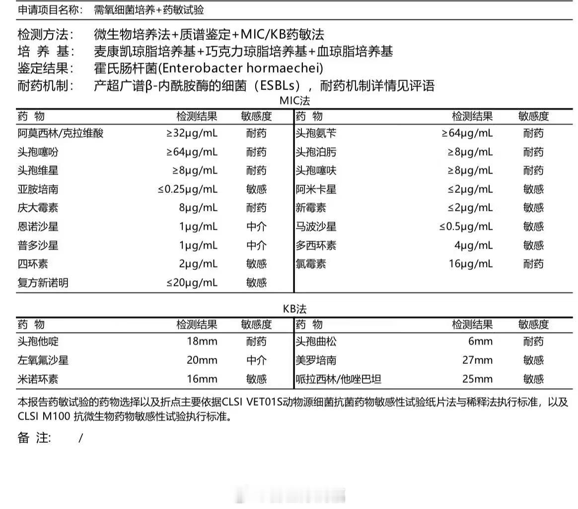 耐药性。这是一个小猫的药敏报告，可以看到很多抗生素已经产生耐药反应    很多家