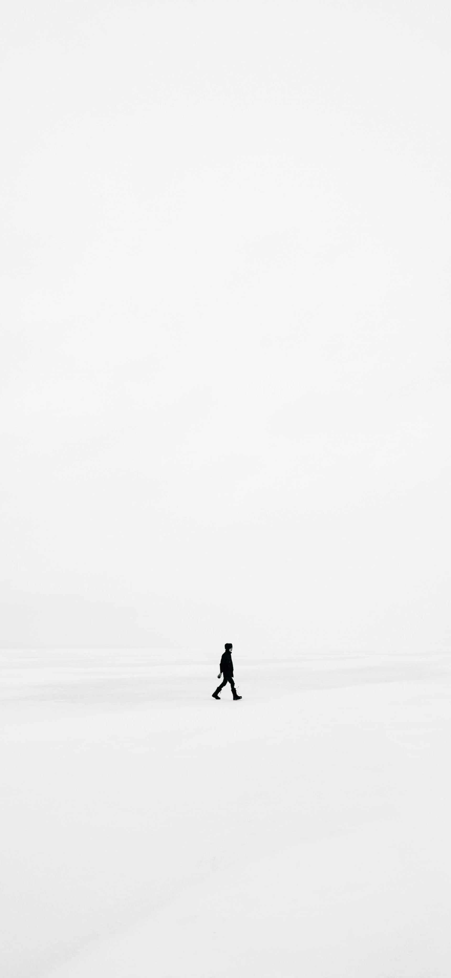 莱分享 今日 iPhone 壁纸分享·2 