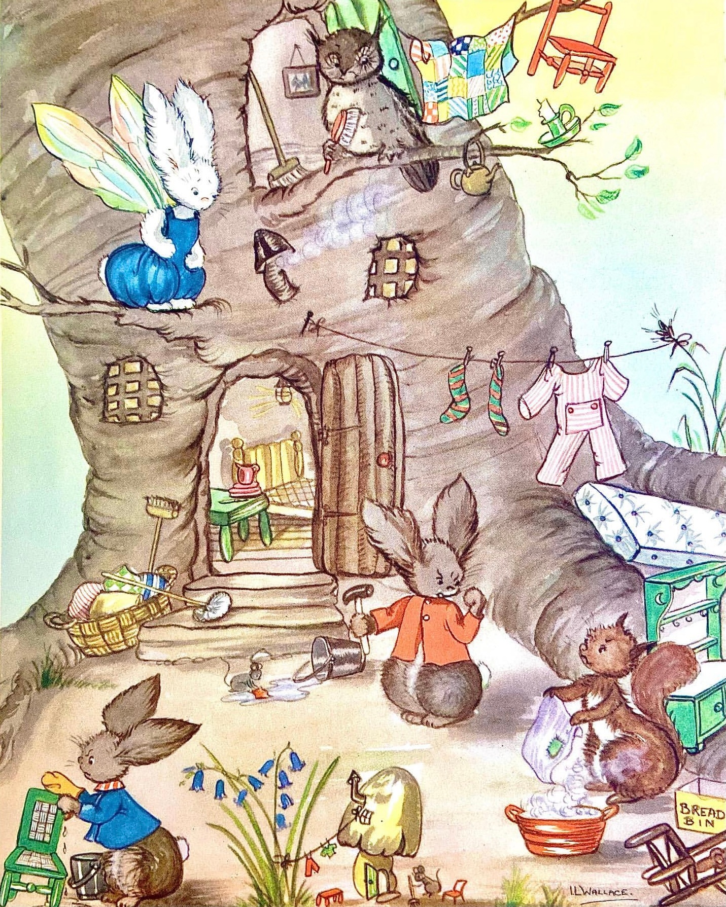 Pookie, the little white rabbit with win