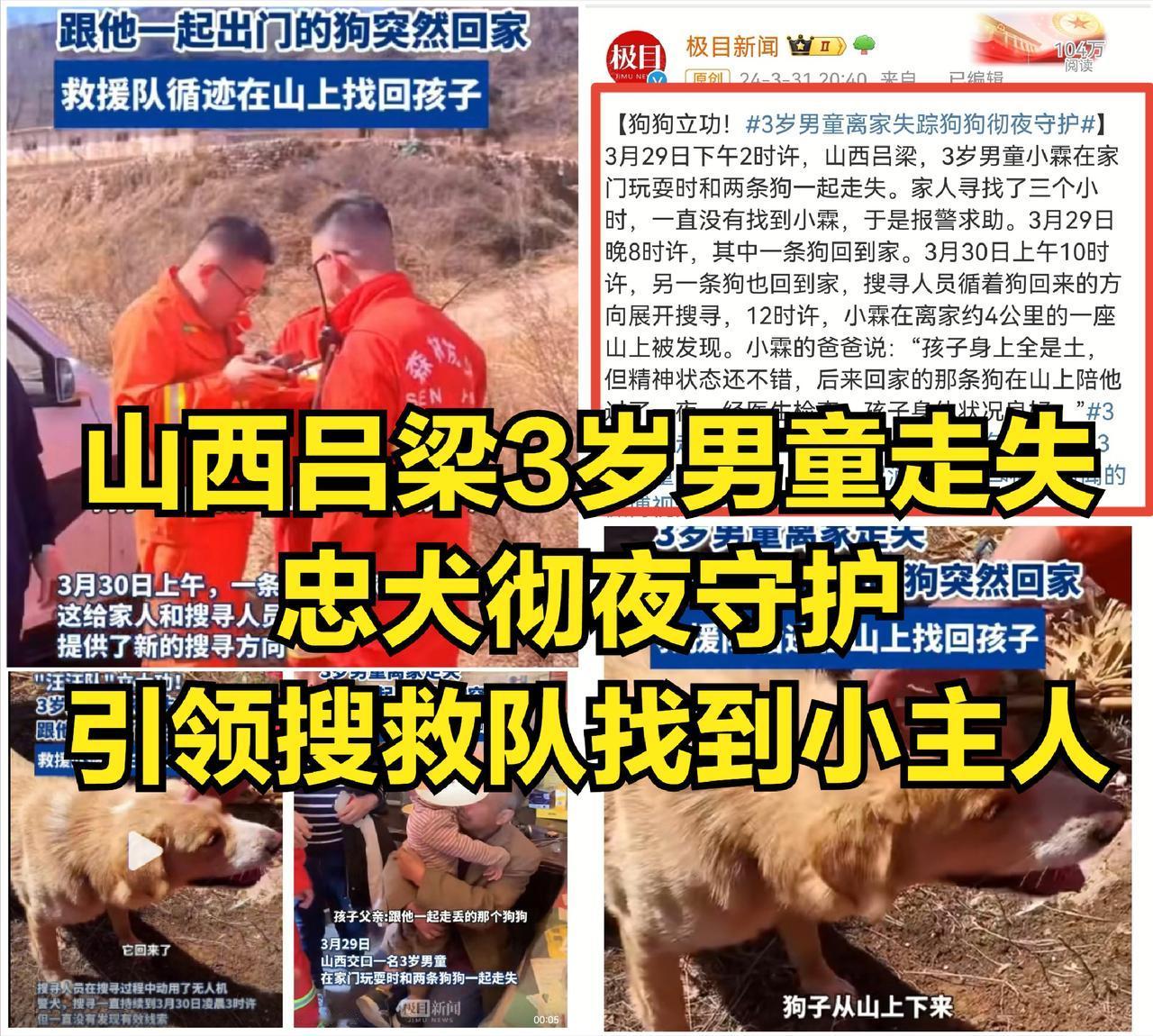 感人至深！山西吕梁3岁男童走失，忠犬彻夜守护，引领搜救队找到小主人
 
 
 
