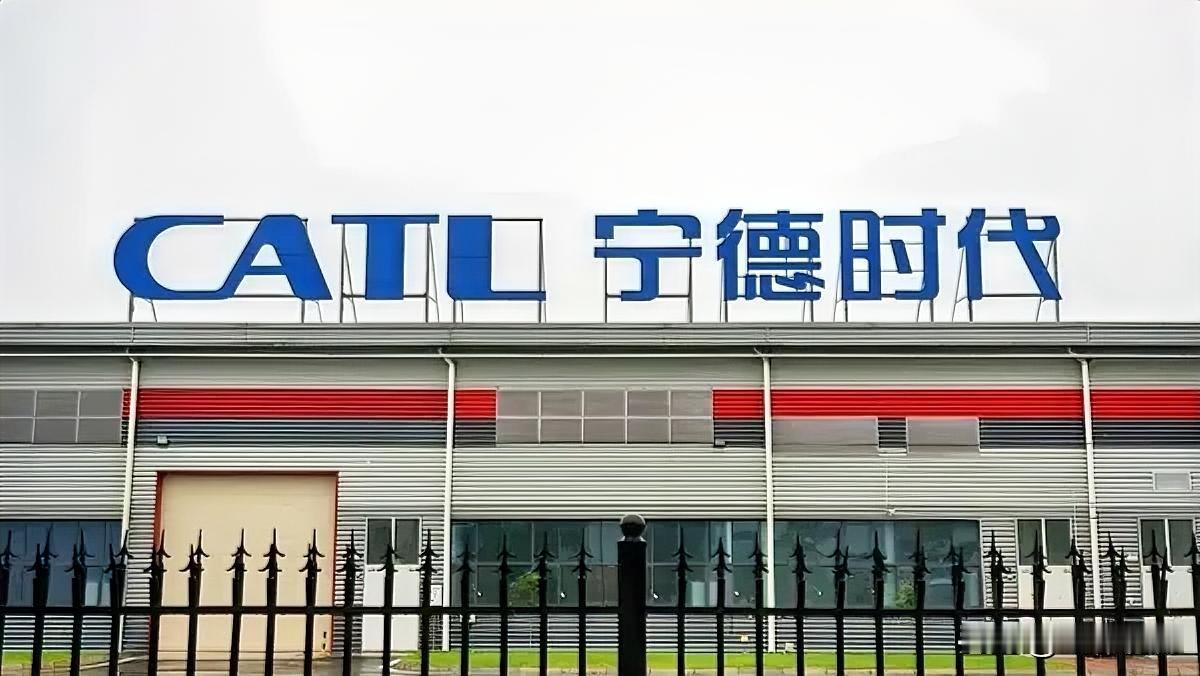 宁德时代董秘被打这事，证实是假的。人家根本没去那场路演。

但能传开也不奇怪，最