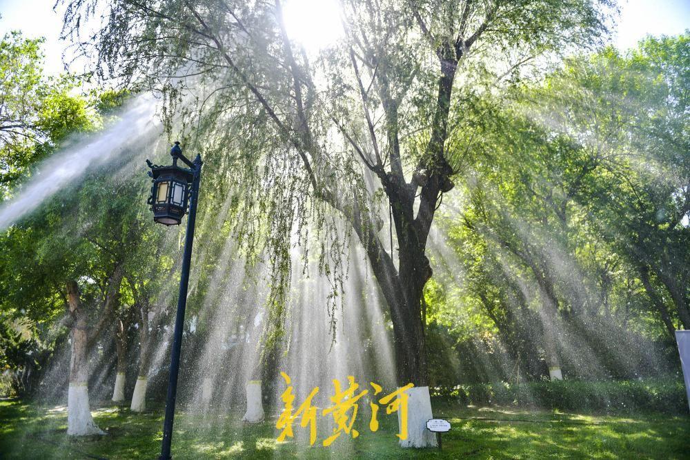 高压水炮“放大招”，济南大明湖精准治理恼人杨柳絮！4月20日，正值杨树、柳树飞絮