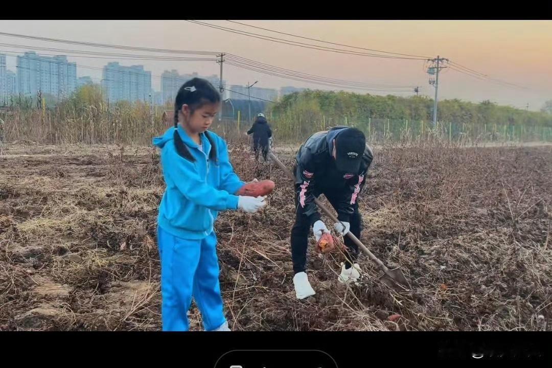 汪峰不算好丈夫，却绝对是个好爸爸！带着女儿醒醒下地挖红薯、收白菜，父女俩边干活边