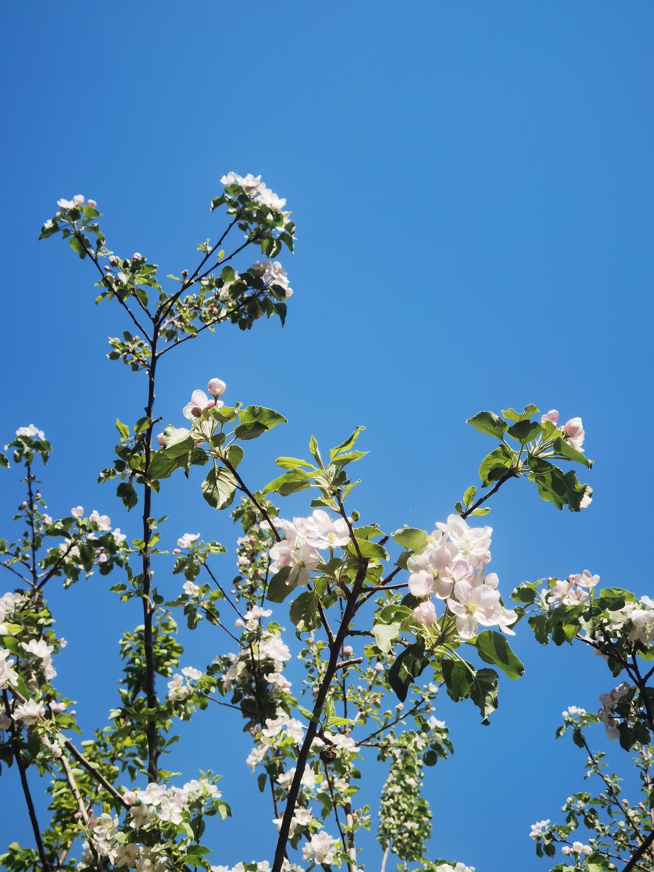 在春天也会有个小秘密：那就是……
春天是万物复苏的季节，谷雨前后，降水增多，气温