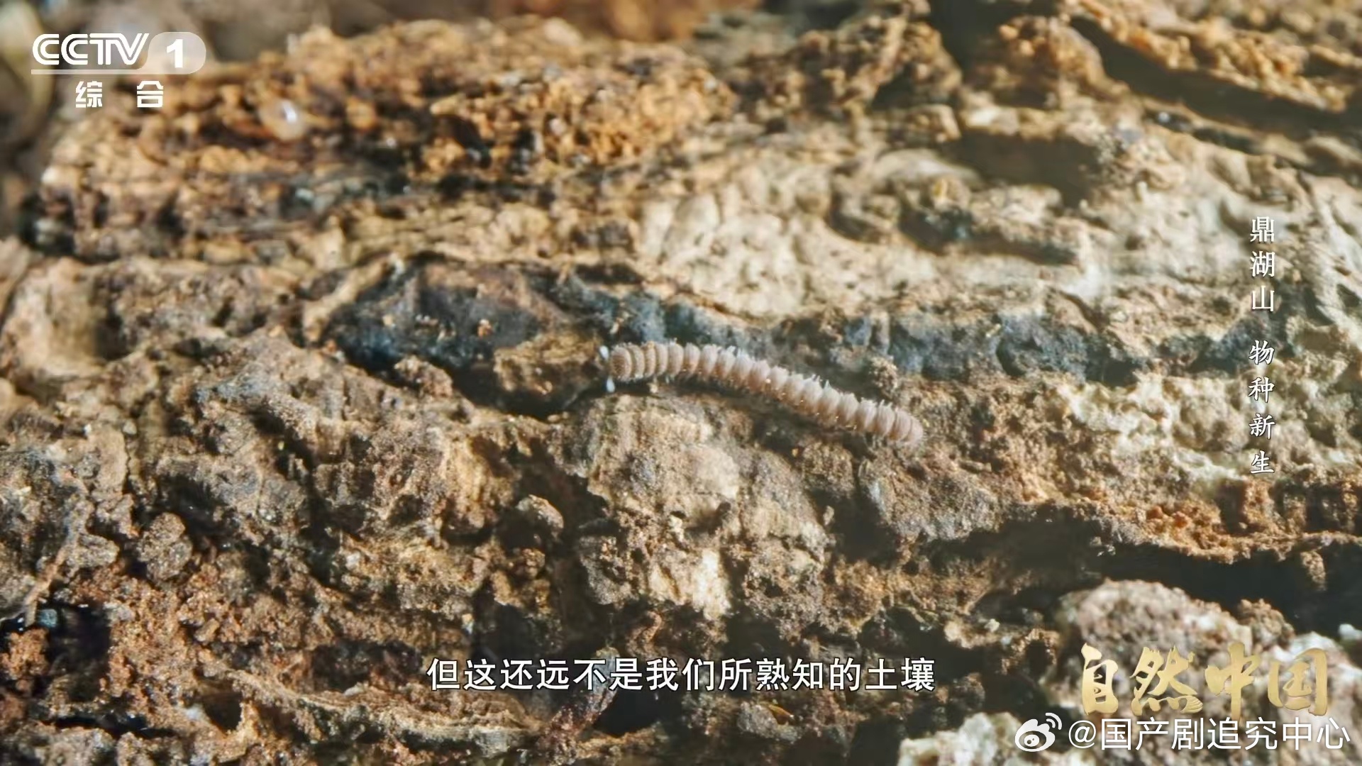 土壤的土腥味从何而来 小小的土腥味藏着大学问🔬，从地质风化到生物代谢，共同构成