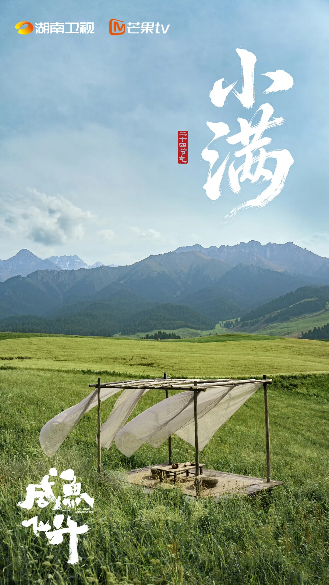 咸鱼飞升小满节气图，真的好有感觉！