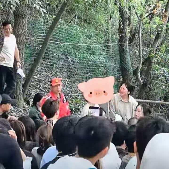 杭州的一个女人和闺蜜相约登山，到了半山腰的时候，忽然遇到了自己的男友，而男友身边