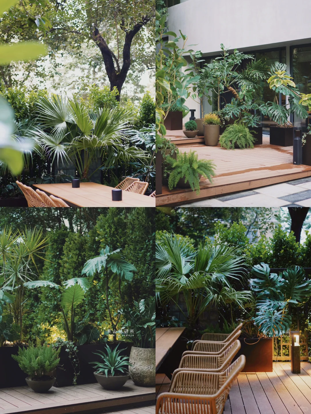 东植x 南国花园|多区域绿植造景 氛围营造