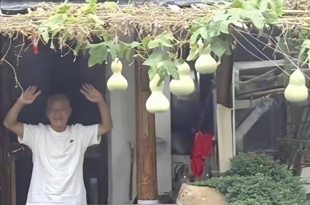 网红打卡惹人烦，葫芦爷爷一剪解千愁，老人无奈挥刀剪清静
难怪葫芦爷爷把手里的葫芦