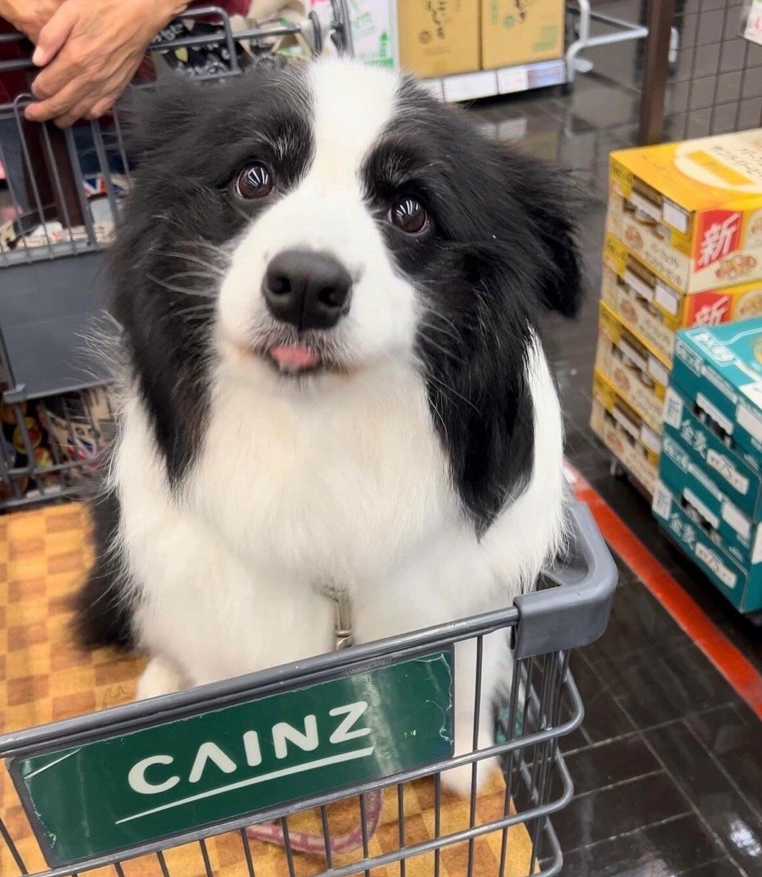 麻麻，你买你爱吃的吧，我今年又拿到奖学金了 