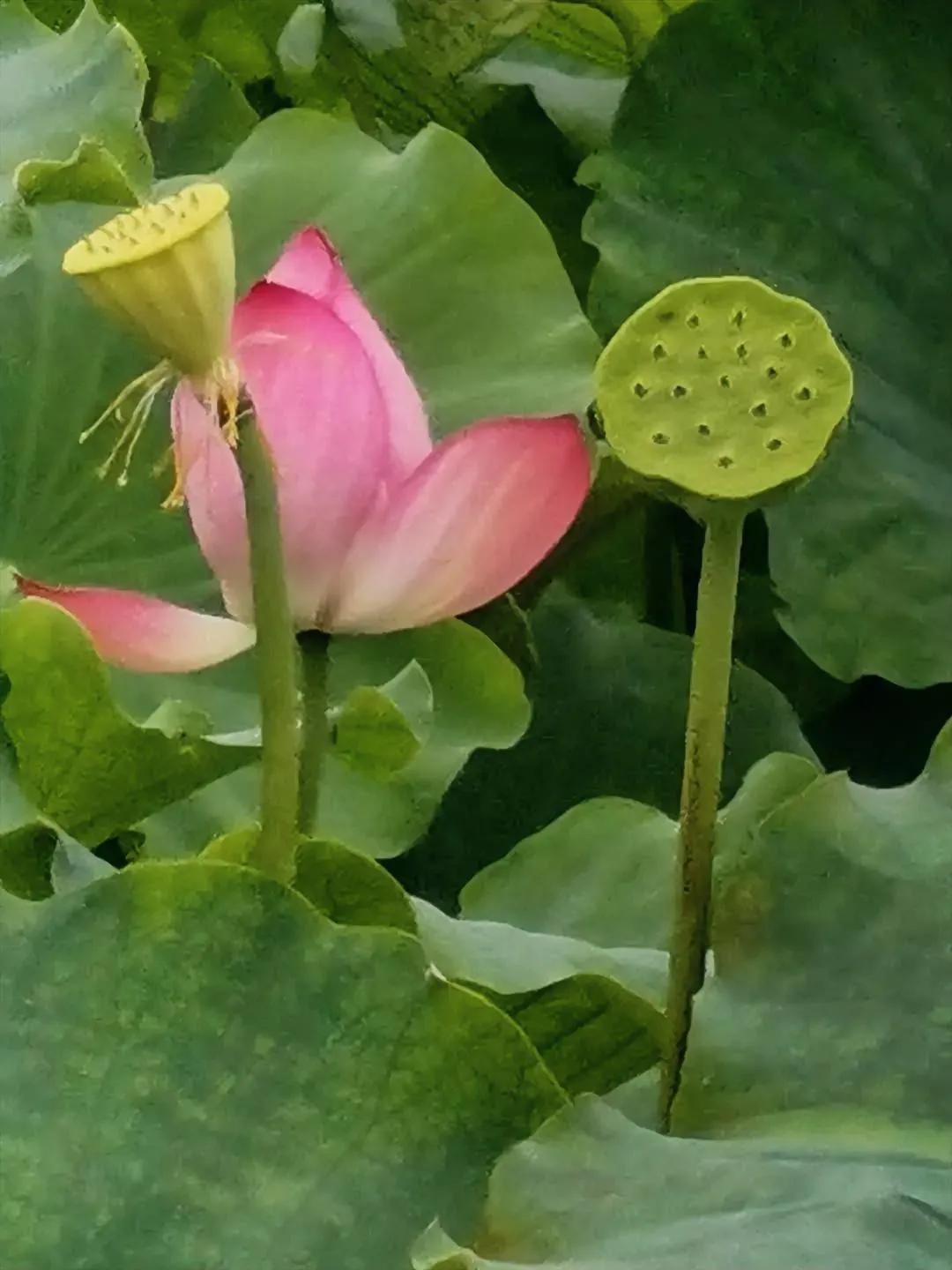 现在的老师太不容易了，尤其是初中老师，每天面对一群叛逆期的孩子，必须要有过硬的心