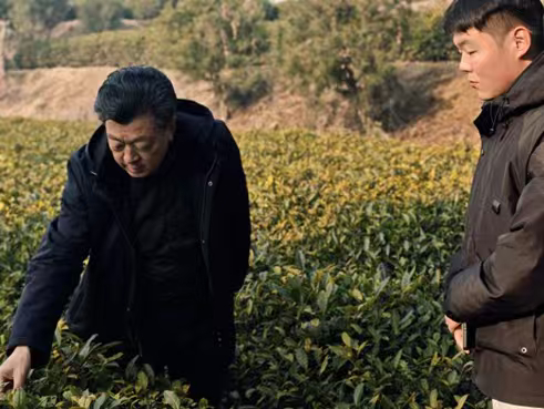 秦岭笑谈【茶香浸润青春初心，实践担当振兴使命】青春三下乡社会实践曲阜师范大学大学